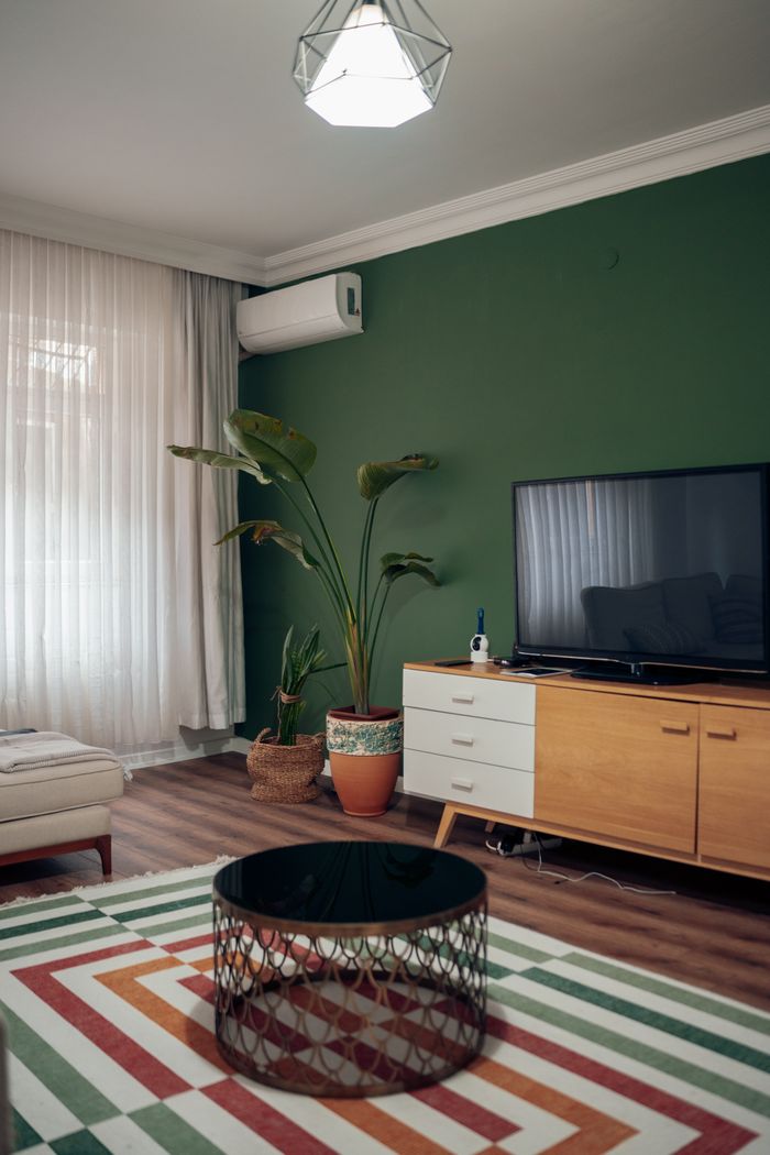 Services Stylish living room featuring green accent wall, indoor plant, and contemporary furniture