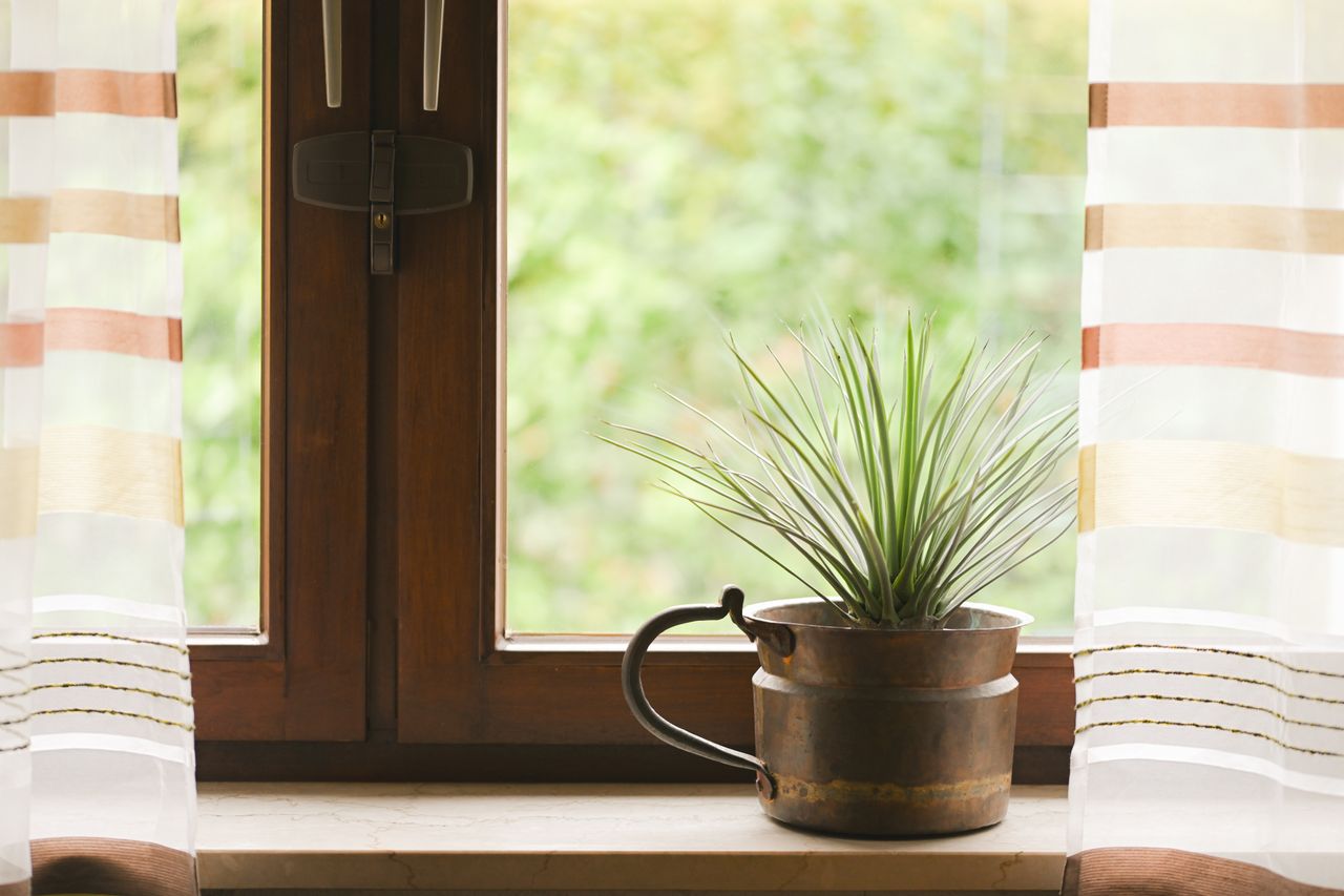 Services Bright indoor scene with a potted plant on a window sill. Great for home decor inspiration.